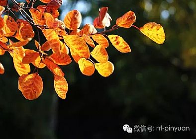 【大事記】輝煌八周年-第三季度員工表彰大會！